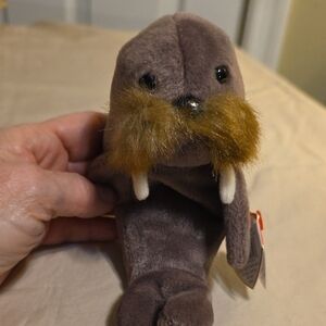 Ty Beanie Baby Jolly (1999) Walrus Plush